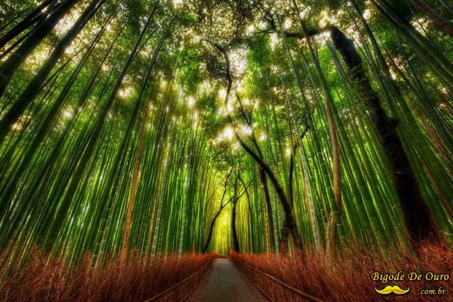 66 imagens lindas pelo mundo 11