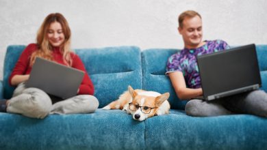 young man and woman sitting on couch with corgi and using laptops