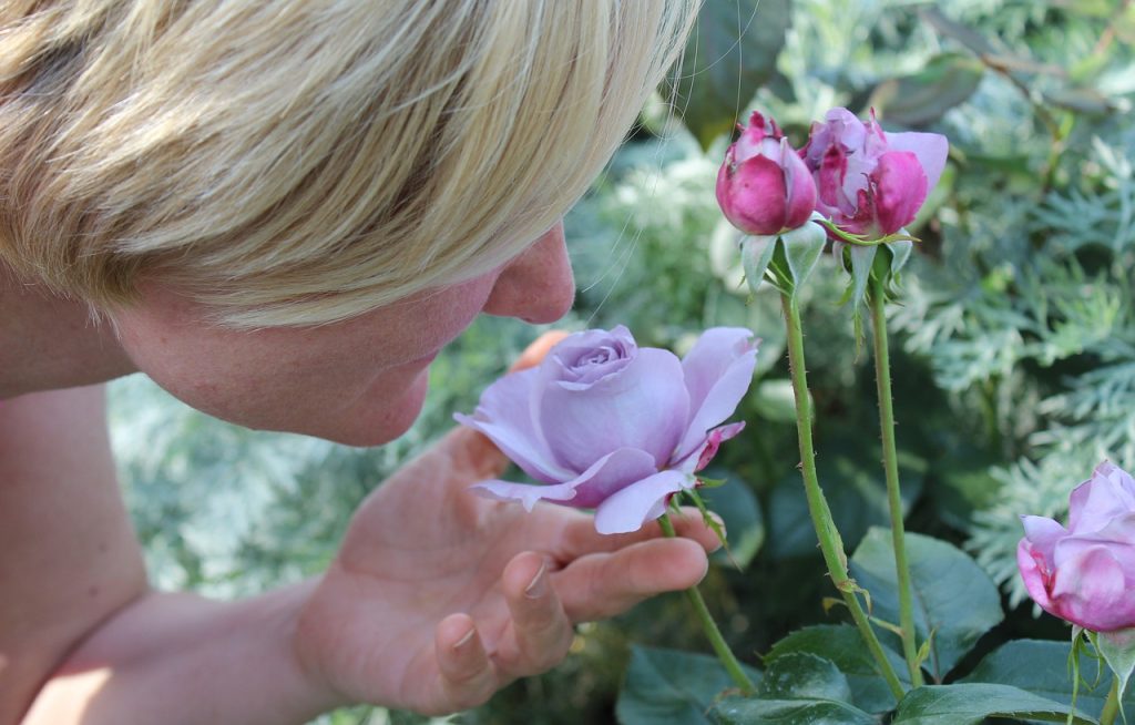 Colhendo os Frutos da Jardinagem: Os Benefícios do Jardim Bem-Estar 